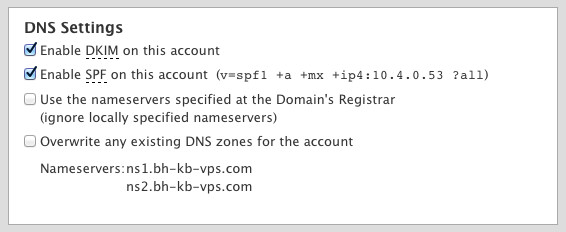 DNS Information section