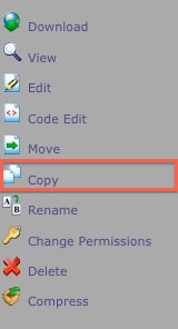 File Manager - Copy File Popup