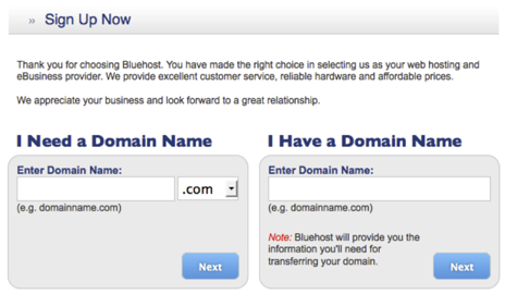Signup: Domain Name